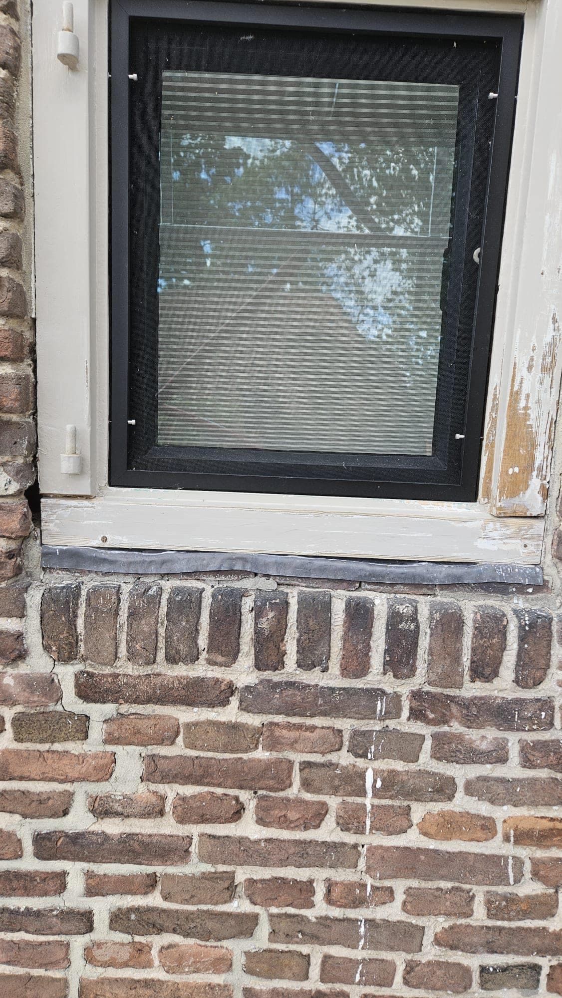 Historische Woonboerderij - Foto 5